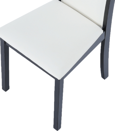 Židle Venis NEW, wenge / ekokůže bílá