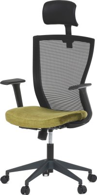 Kancelářská židle KA-V328 GRN