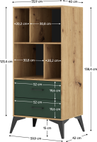 Regál, dub artisan/tmavě zelená, LUGON 2S LU5