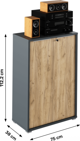 Skříňka, grafit / dub artisan, RIOMA NEW TYP 09