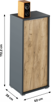 Skříňka, grafit / dub artisan, RIOMA NEW TYP 10