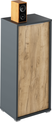 Skříňka, grafit / dub artisan, RIOMA NEW TYP 10