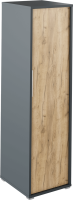 Věšáková skříň, grafit / dub artisan, RIOMA NEW TYP 20